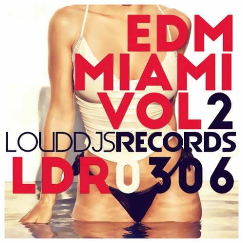EDM Miami Vol. 2 (2016)