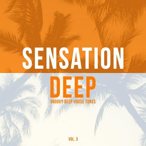 Sensation Deep Vol.3 Groovy Deep House Tunes (2016)