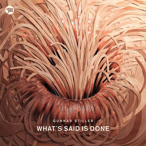 Gunnar Stiller - Whats Said Is Done (2014)