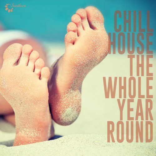 VA - Chillhouse the Whole Year Round (2014)