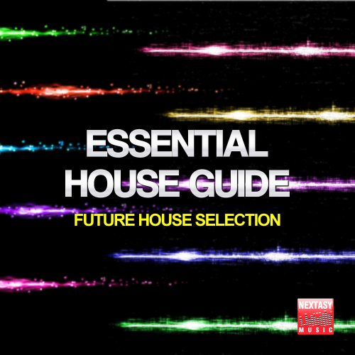 Dave Pedrini - Essential House Guide (Future House Selection) (2016)